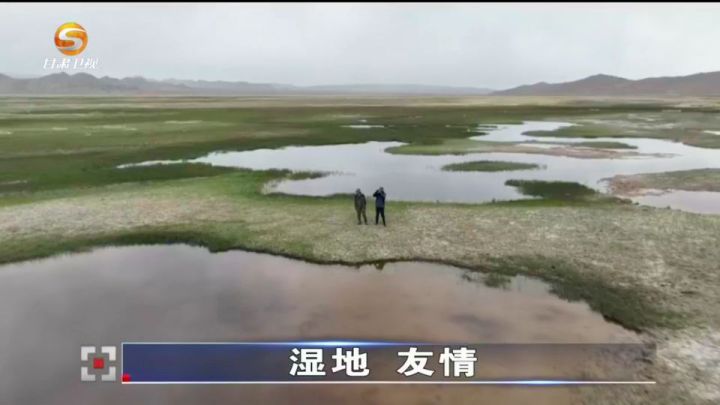 《今日聚焦》——湿地 友情