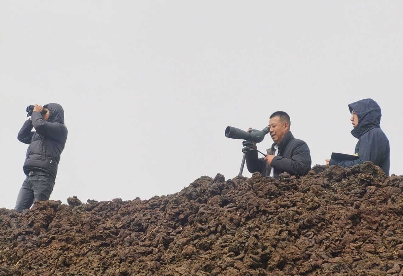 1749112992702621.jpg 829dbb5346f7e6e4e6f668d8370775d9.jpg