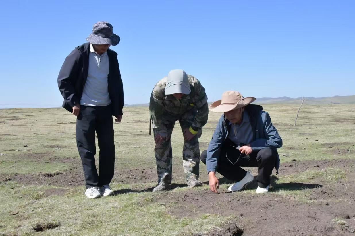 1749113912480101.jpg 0c3787ad622d4237a1a2c9927f158cc0.jpg