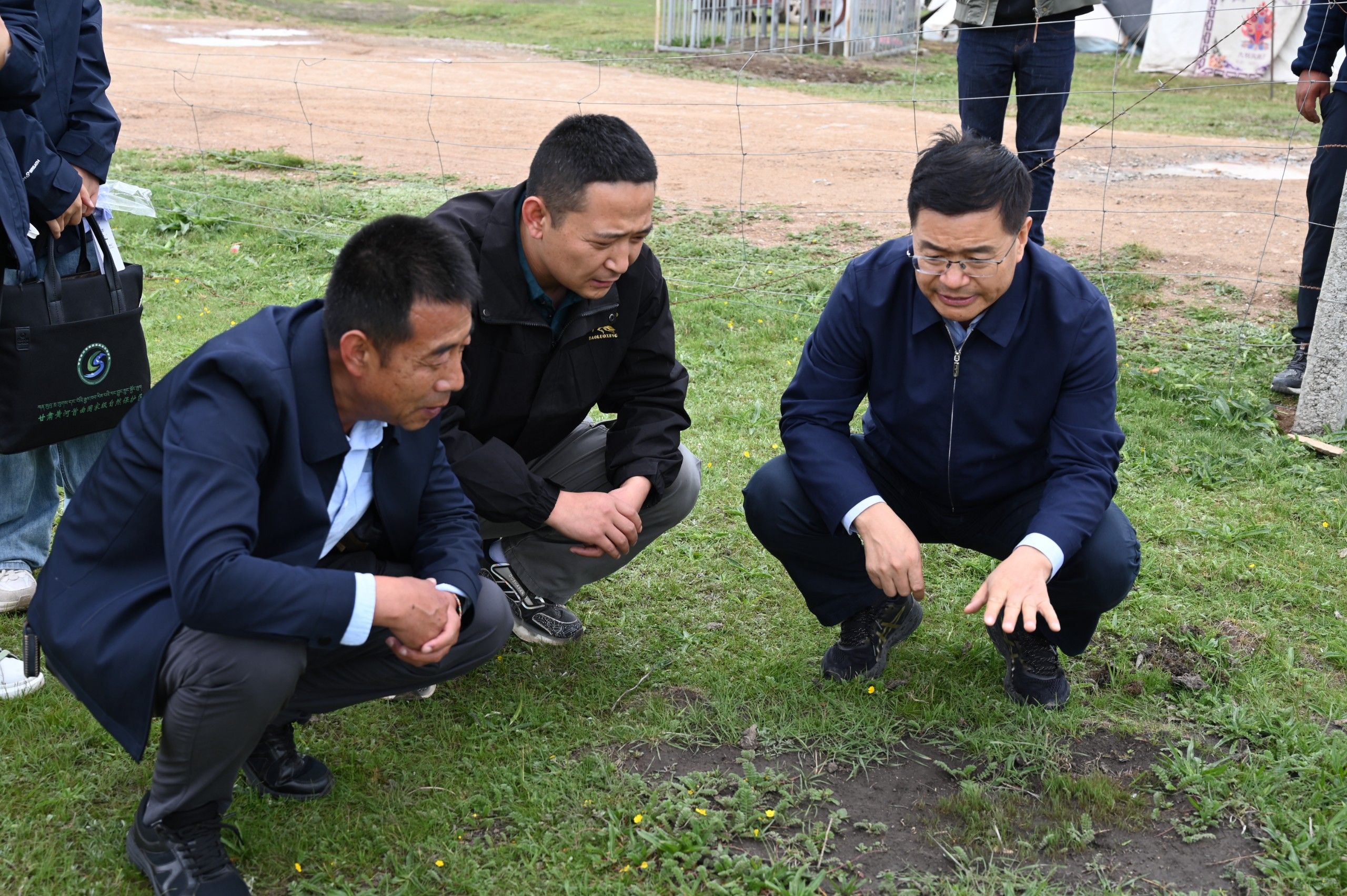 1753695293714755.jpg a01fee95870d1c3c21b278c96214a903.jpg